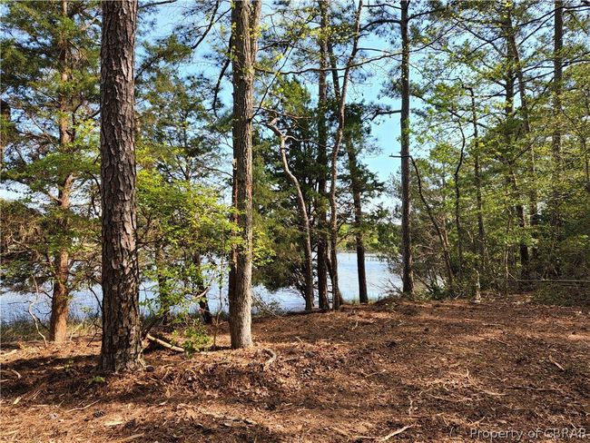 0 Potato Neck Rd, Home with 0 bedrooms, 0 bathrooms and null parking in Port Haywood VA | Image 6