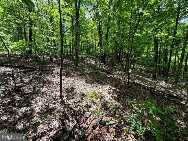 LOT 4 Yost Rd, Home with 0 bedrooms, 0 bathrooms and null parking in New Creek WV | Image 12