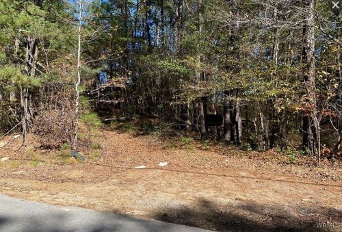 0 Million Dollar Lakes, Vance, AL, 35490 | Card Image