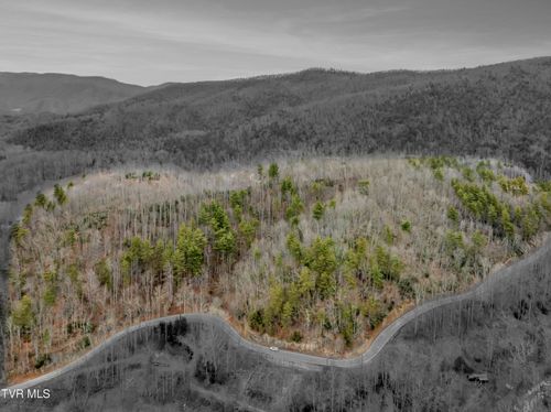 Tbd Spivey Mountain Road, Erwin, TN, 37650 | Card Image