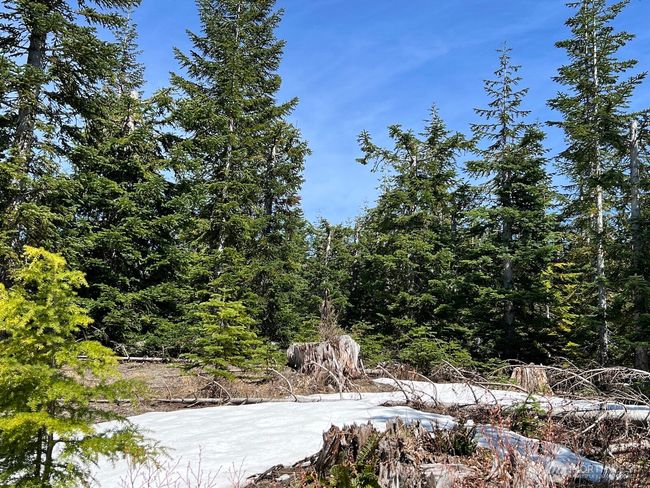 0 xxxx Spirit Lake Hwy, Home with 0 bedrooms, 0 bathrooms and null parking in Stevenson WA | Image 32