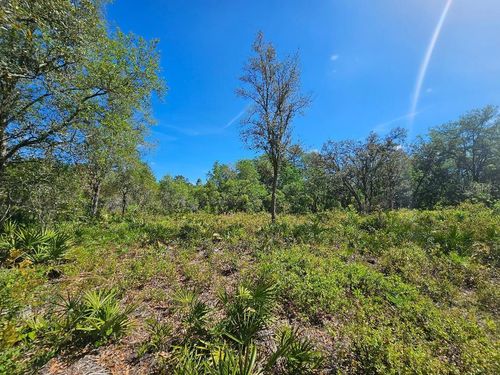 8130 Shellstream Dr, WEBSTER, FL, 33597 | Card Image