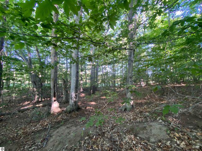Lot 10 S Club Dr, Home with 0 bedrooms, 0 bathrooms and null parking in Cedar MI | Image 6