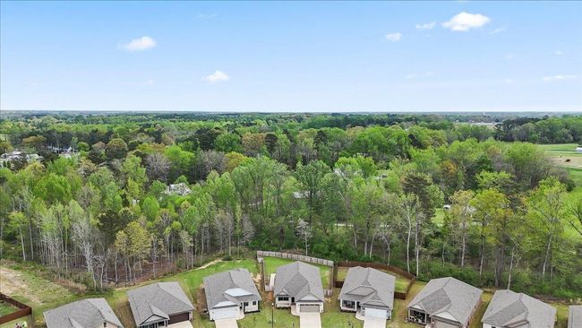 1820 Anise Cir Se, House other with 5 bedrooms, 2 bathrooms and null parking in Cullman AL | Image 43