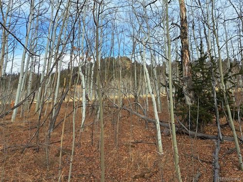 503 Sugar Loaf Ln, Jefferson, CO, 80456-9747 | Card Image