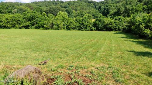 350 N Vfw Rd, Bulls Gap, TN, 37711 | Card Image