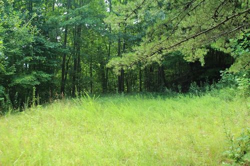 Lot 55 Eagles View, Hayesville, NC, 28904 | Card Image