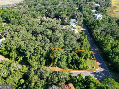 V/L 519 Massias Lane + Campbell Parkway, St. Marys, GA, 31558 | Card Image