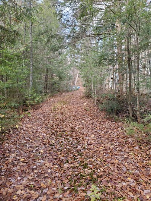 00000 S Ril Lake Rd, Muskoka, ON, P0B1A0 | Card Image