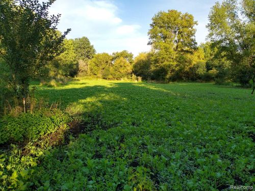 V/L Blake Road, Blackman Charter Township, MI, 49201 | Card Image