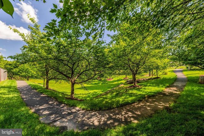 45509 Trail Run Ter, Townhouse with 3 bedrooms, 3 bathrooms and null parking in STERLING VA | Image 63