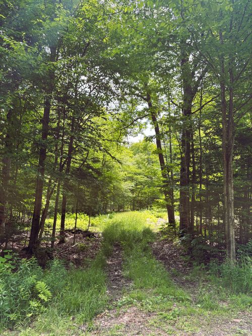 0 Peplinskie Rd, Combermere, ON, K0J1L0 | Card Image