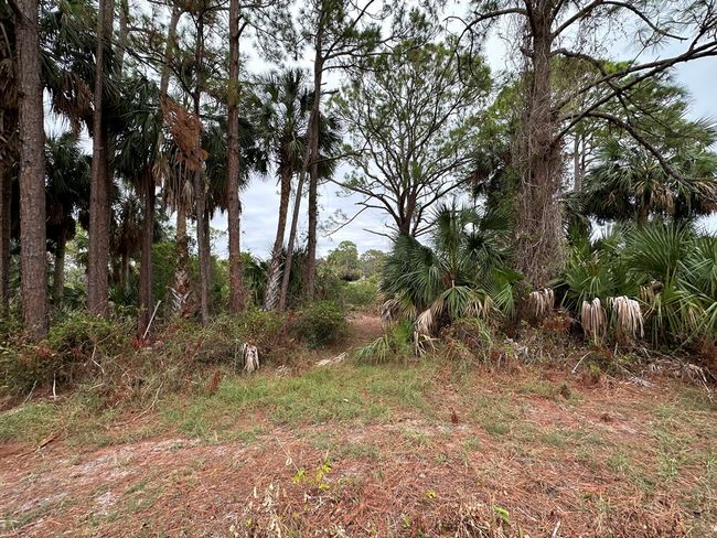 5 Lots Ingleside Pl, Home with 0 bedrooms, 0 bathrooms and null parking in Cedar Key FL | Image 8