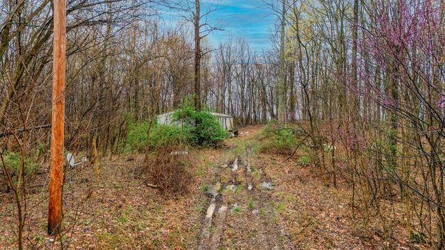 1630 N Pascal Rd, Home with 0 bedrooms, 0 bathrooms and null parking in Malta OH | Image 8