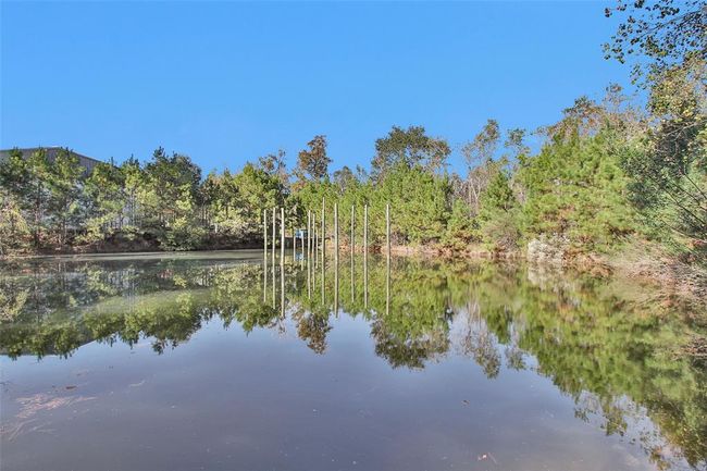 Catfish, bass and perch have been caught from this pond | Image 41