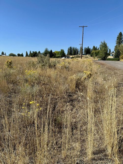 35-0 Newman Pl, Chiloquin, OR, 97624 | Card Image