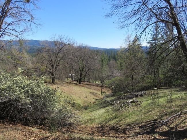 4196 Bald Mountain Rd, Home with 0 bedrooms, 0 bathrooms and null parking in West Point CA | Image 26