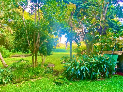 14-347 Papaya Farms Rd, Pahoa, HI, 96778-7781 | Card Image
