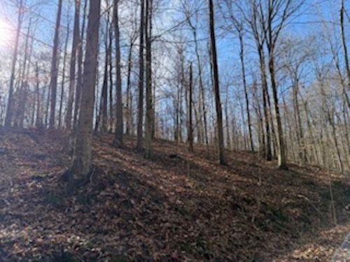 2791 Region Rd, Roundhill, KY, 42275 | Card Image