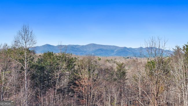 630 Jones Rd, House other with 3 bedrooms, 2 bathrooms and 2 parking in Epworth GA | Image 28
