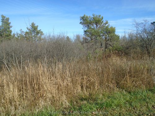 49 Rideau Ave N, Smiths Falls, ON, K7A4W1 | Card Image