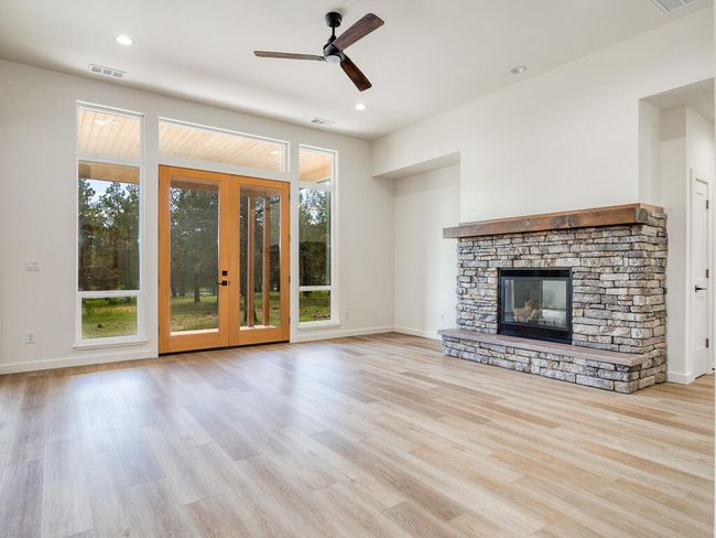 1168 Paper Birch-08 | Image 8