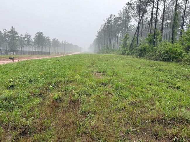 0 Richardson Rd E, Home with 0 bedrooms, 0 bathrooms and null parking in Livingston TX | Image 39