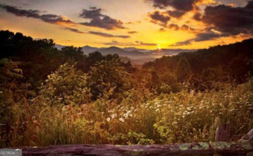 LOT 29 Raven Ridge Road, Clayton, GA, 30525 | Card Image