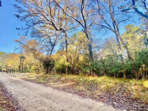 TBD Lakeview Cir, Crockett, TX, 75835 | Card Image
