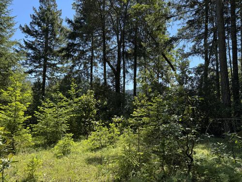 1522 Bridge Ln, Wolf Creek, OR, 97497-9650 | Card Image