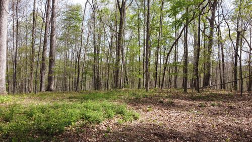 0 Off Johnson Chapel Rd, Sparta, TN, 38583 | Card Image