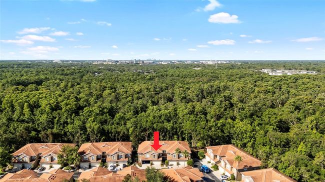 4920 Anniston Cir, Townhouse with 3 bedrooms, 3 bathrooms and null parking in TAMPA FL | Image 42