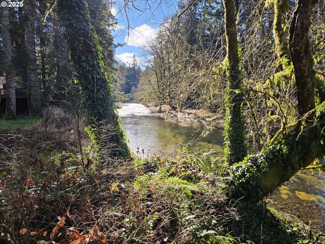 15216 Creek View Ln, House other with 2 bedrooms, 1 bathrooms and null parking in Vernonia OR | Image 17