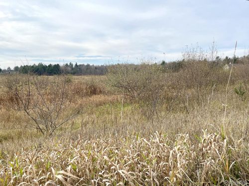 Parcel 3 Maes Road, West Branch Township, MI, 48661 | Card Image