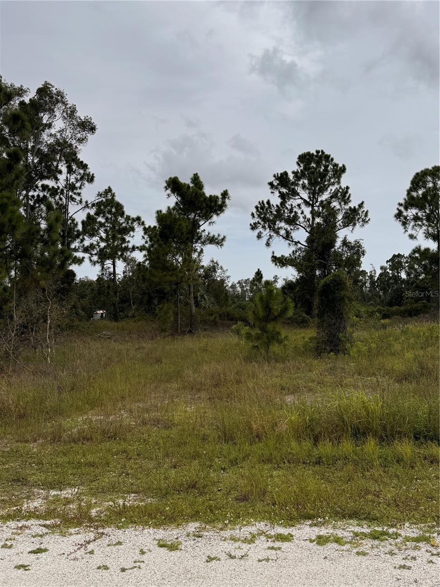 Land in PUNTA GORDA 5