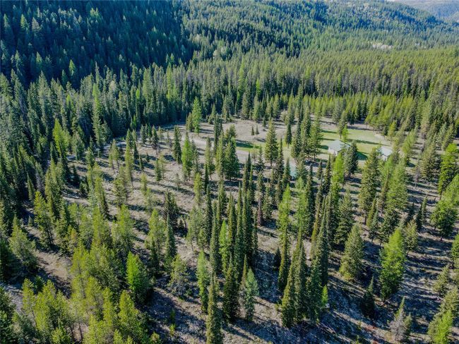 View of property location with a forest | Image 51