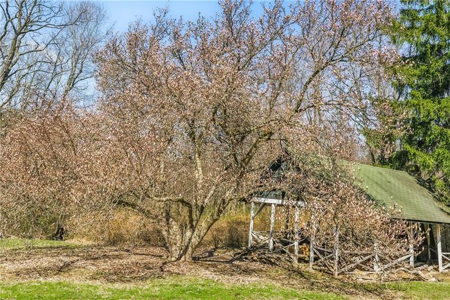 143 Gracie Ln, Home with 0 bedrooms, 0 bathrooms and null parking in Mars PA | Image 22