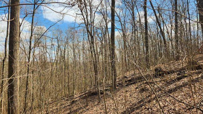 TRACT-2-PIKE-LAKE-GETAWA - 0 Pike Lake Rd, Home with 0 bedrooms, 0 bathrooms and null parking in Bainbridge OH | Image 28