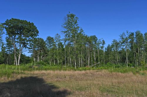 Parcel G F-30, Greenbush Township, MI, 48738 | Card Image