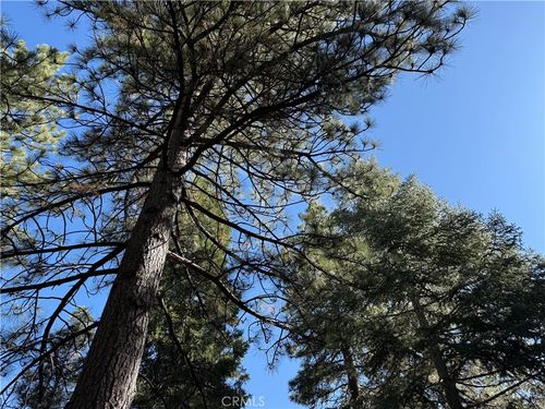 27334 Pinewood Dr, Lake Arrowhead, CA, 92352 | Card Image