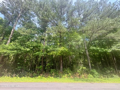 0 Oak Hills Dr, Rocky Point, NC, 28457 | Card Image