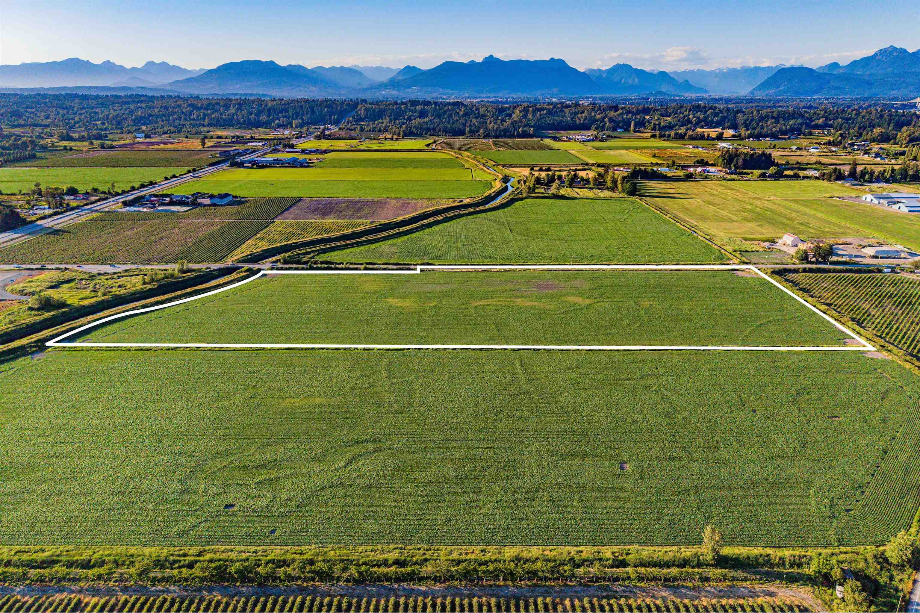 Land in Surrey 5