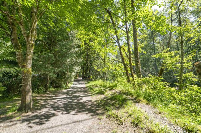 View of street with a forest view | Image 39