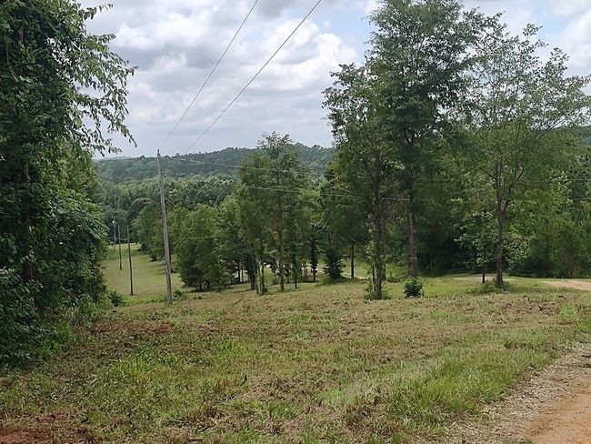 1100 Sapp Rd, House other with 3 bedrooms, 3 bathrooms and 3 parking in Dry Branch GA | Image 19