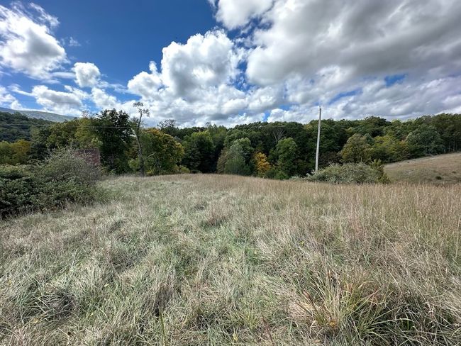 621 Point Pleasant Rd, House other with 2 bedrooms, 1 bathrooms and null parking in BLAND VA | Image 35