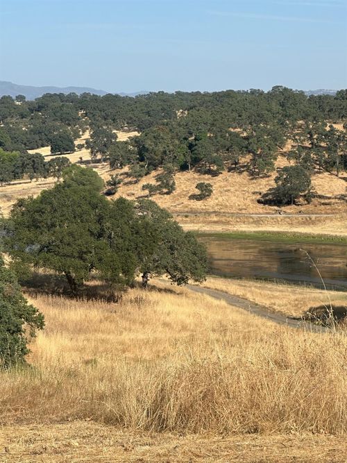 75 Cormorant Dr, Wallace, CA, 95254-7205 | Card Image