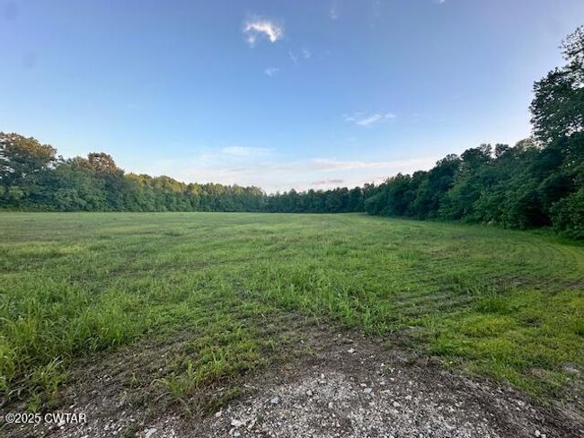 0 Old Trezevant Rd, Home with 0 bedrooms, 0 bathrooms and null parking in Trezevant TN | Image 9
