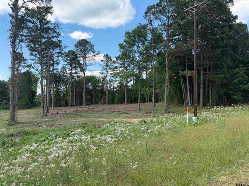 1290 County Road 3210, Jacksonville, TX, 75766 | Card Image