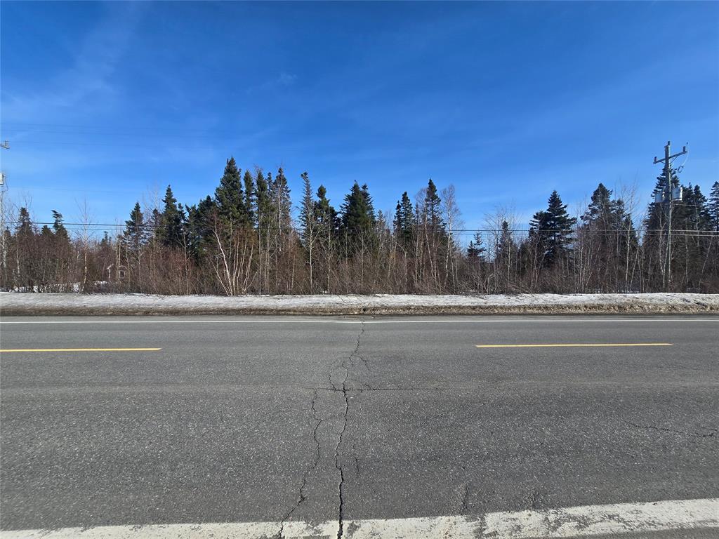 Land in Grand Falls Windsor 3