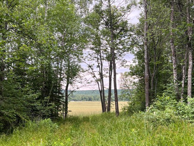 Trail to hay field | Image 5